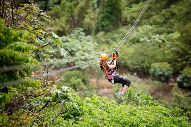 Toro Verde 7-Zipline Tour Plus the Beast with Pickup - The Beast, the Monster, and the naming confusion