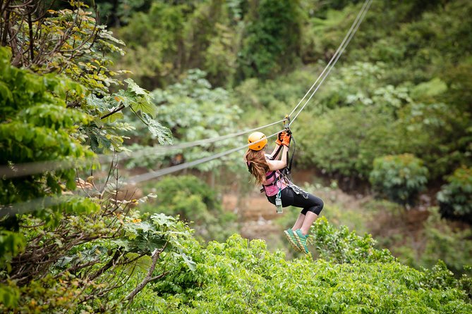 Toro Verde 7-Zipline Tour Plus the Monster with Transport - Leaving San Juan for Orocovis