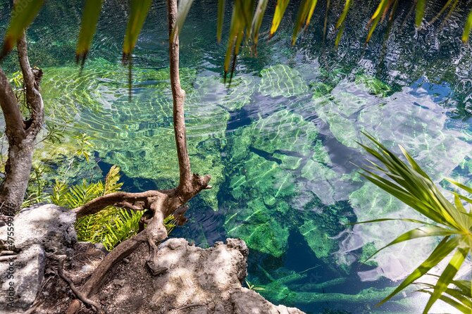 Tour 4 Cenotes Casa Tortuga Tulum. Food + Zipline. Includes Pickup. - What the cave cenotes are like