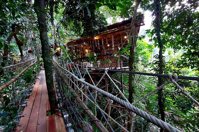 Tree Bridge Cafe And Zipline - Jungle Flight Adventure in Koh Samui - Tree Bridge Cafe gives the activity a pause