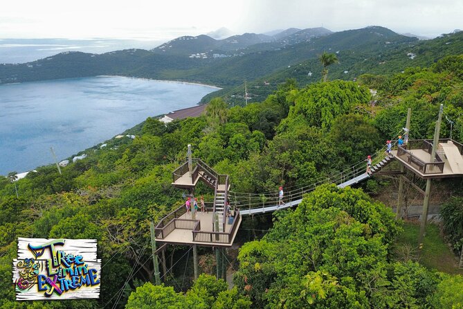 Tree Limin' Extreme Zipline - The Yo-Yo gives the course its signature moment