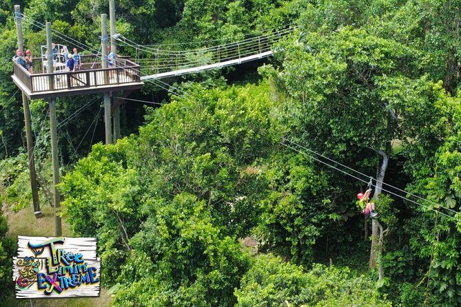 Tree Limin' Extreme Zipline - Is $155 a fair price?