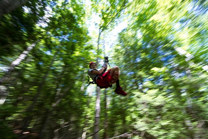 Tree Tops Zip Line Canopy Tour - Key points at a glance