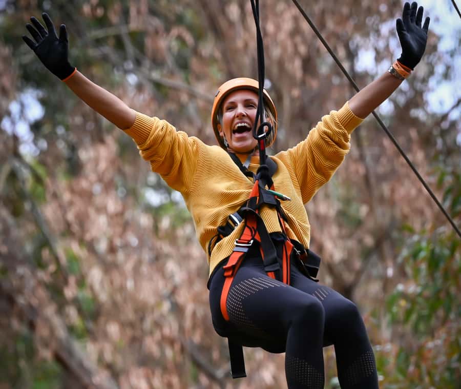 TreeClimb Kuitpo Forest: Exciting Treetop Climbing Adventure - Four treetop levels with room to find your pace