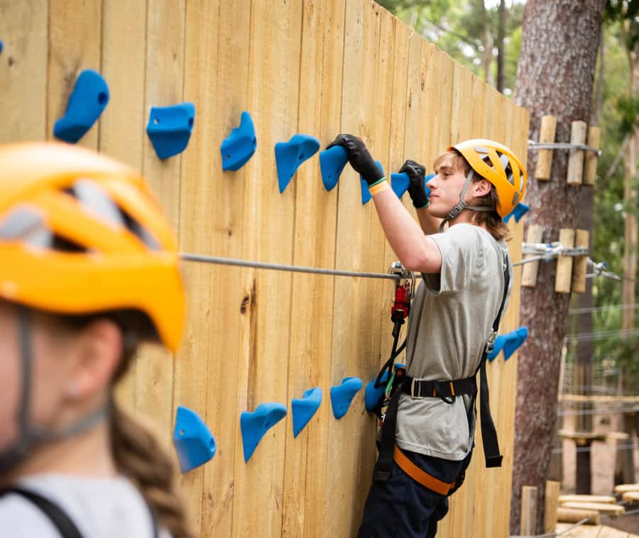 TreeClimb Kuitpo Forest: Exciting Treetop Climbing Adventure - What two hours feels like in practice