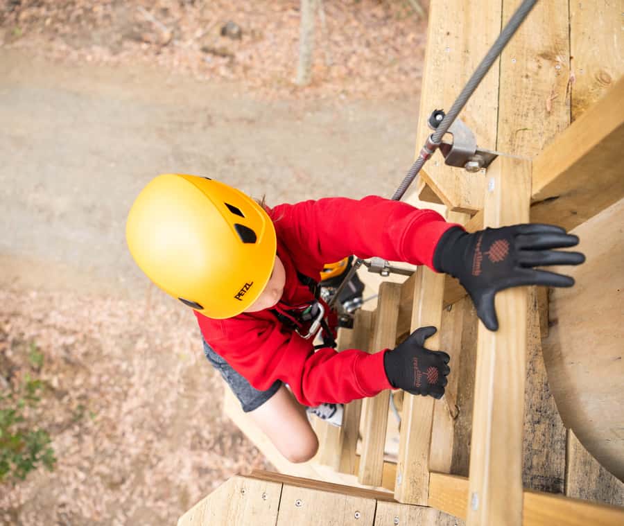 TreeClimb Kuitpo Forest: Exciting Treetop Climbing Adventure - Rain, fire danger, and the practical weather question