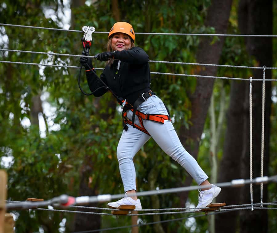 TreeClimb Kuitpo Forest: Exciting Treetop Climbing Adventure - Is $33 a fair price?