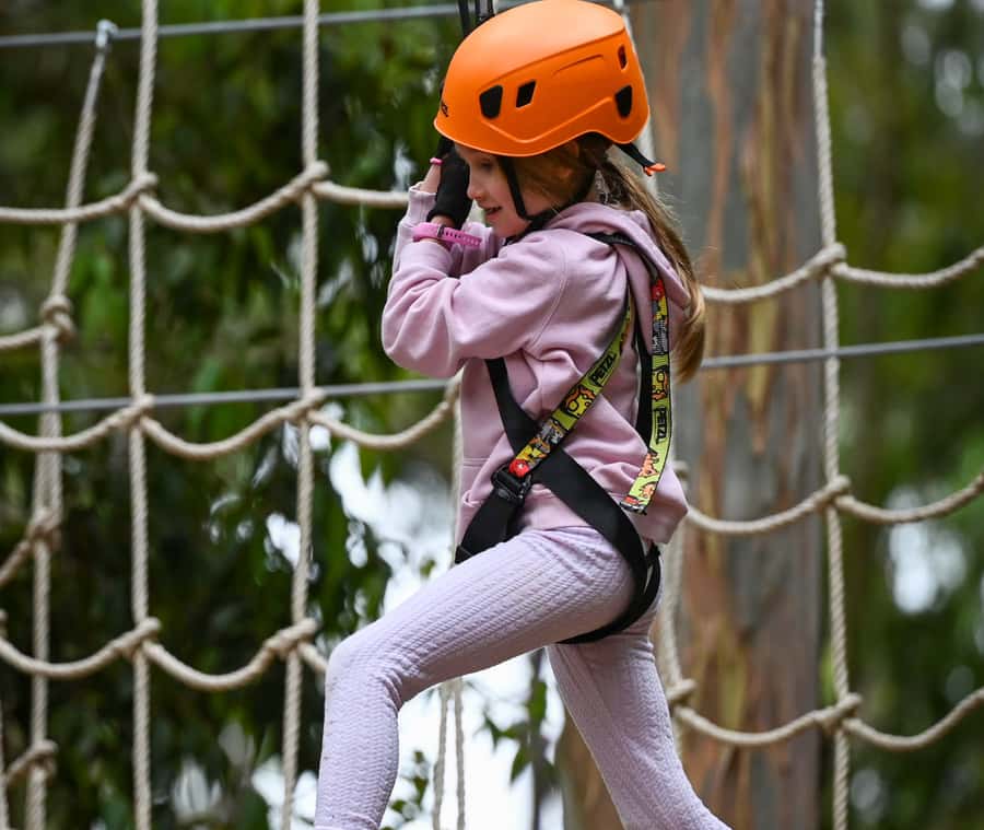 TreeClimb Kuitpo Forest: Treetop Fun For Little Adventurers - Key points to know before booking