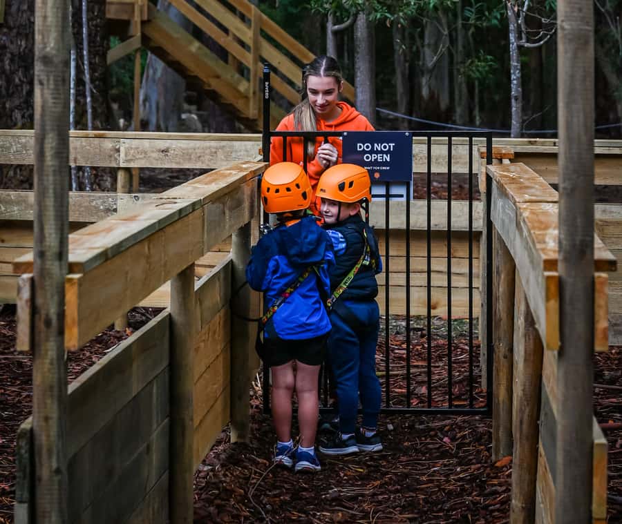 TreeClimb Kuitpo Forest: Treetop Fun For Little Adventurers - Two courses, several kinds of challenge
