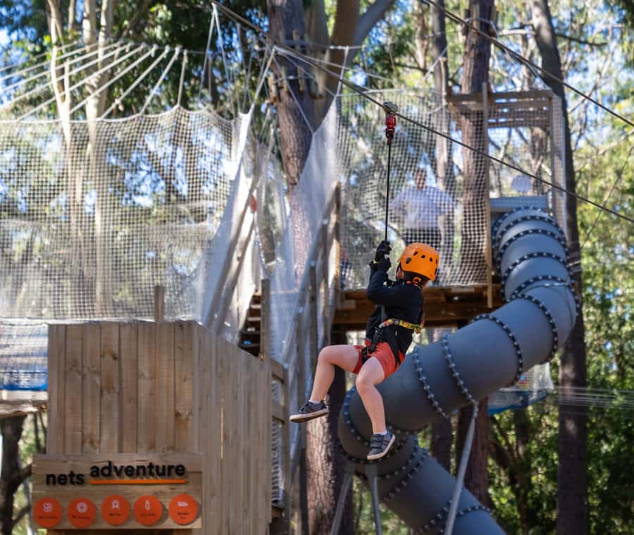 TreeClimb Kuitpo Forest: Treetop Fun For Little Adventurers - Safety rules that affect your booking