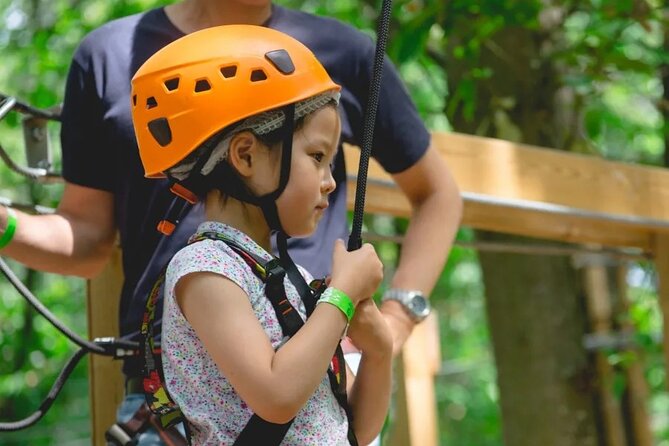 Treetop adventure course in Jablines - Key points at a glance