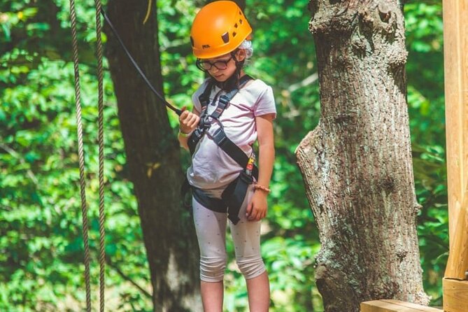 Treetop adventure course in Jablines - From rope bridges to flea jumps