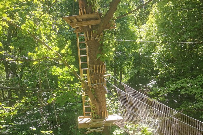 Treetop adventure course in the heart of Poissy - Key points to know before you book