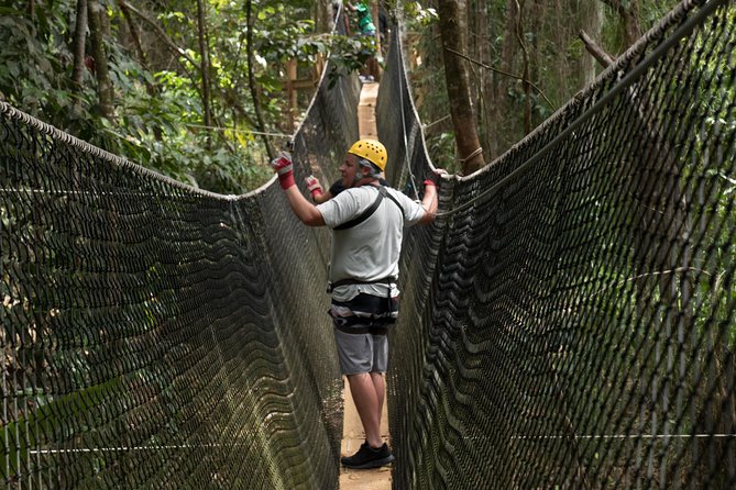 Treetop Adventure Park Canopy Tour - Flying Above St. Lucia’s Rainforest