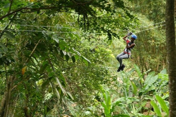 Treetop Adventure Park Canopy Tour - Twelve Lines, Twenty Platforms, and One Net Bridge