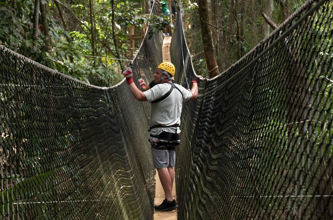 Treetop Adventure Park Canopy Tour - Who Should Book This St. Lucia Zipline Tour?