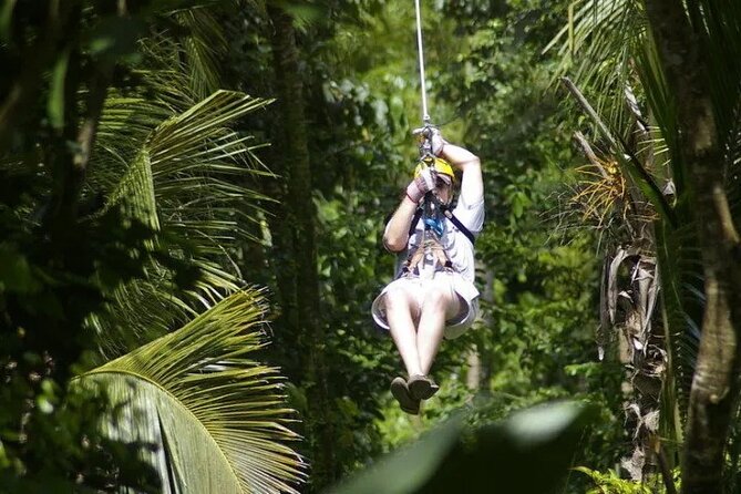 Treetop Adventure Park Canopy Tour - My Call: Book It for the Action, Not the Lunch