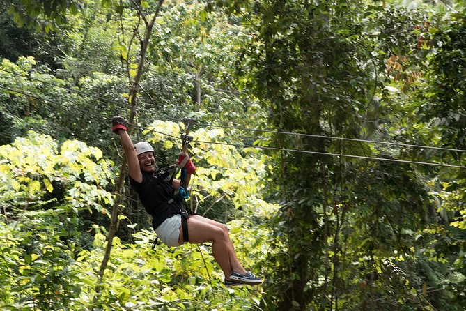 Treetop Canopy Adventure - Is $92.31 a fair price?