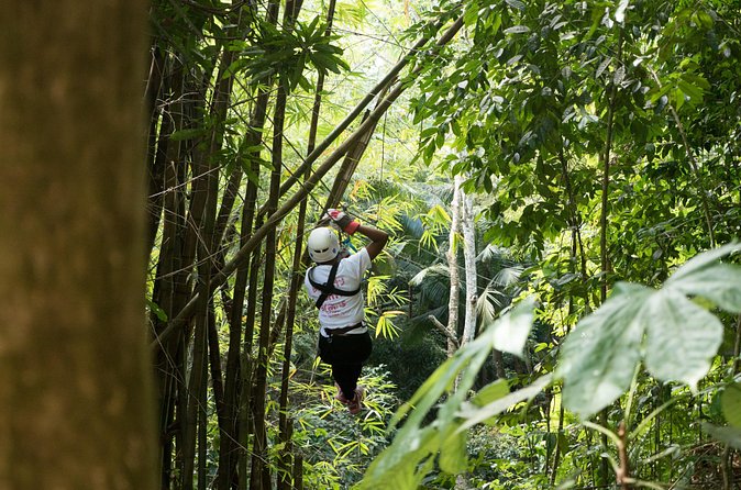 Treetop Canopy Adventure - Booking ahead and handling the cancellation rule
