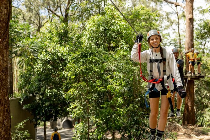 TreeTop Challenge Currumbin Wildlife Park - Key points before you book
