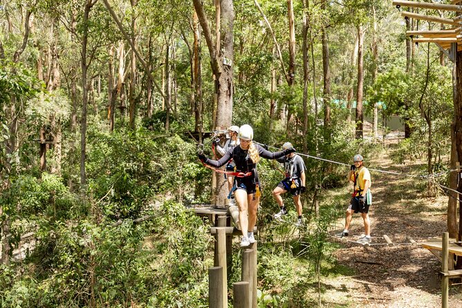 TreeTop Challenge Currumbin Wildlife Park - Seven circuits, from a gentle start to serious effort