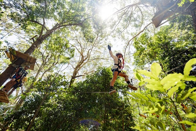 TreeTop Challenge Currumbin Wildlife Park - More than 100 obstacles and 14 ziplines