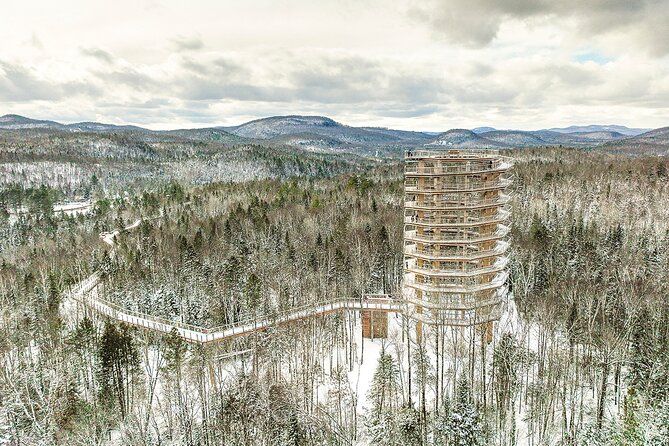 Treetop Observatory and Walk - A tree walk with a real payoff at the top