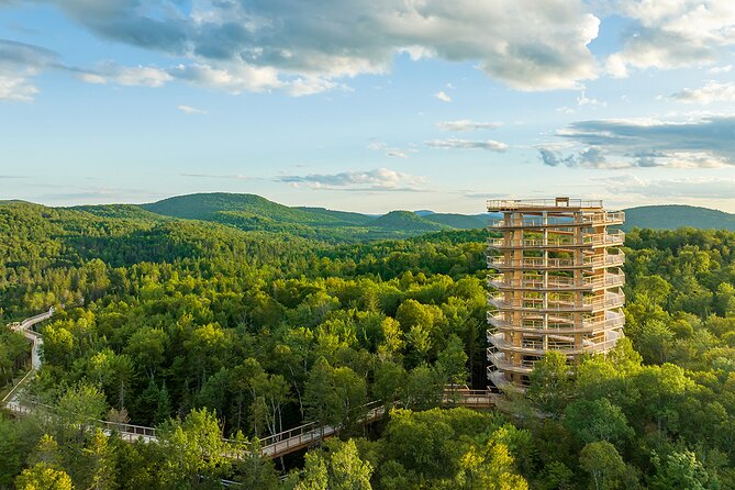 Treetop Observatory and Walk - Following the wooded trail to the main walkway