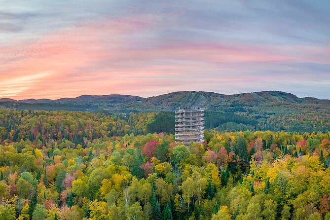 Treetop Observatory and Walk - Who will enjoy the tower most