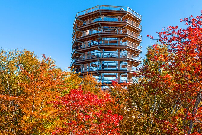 Treetop Observatory and Walk - Service, access, and the feel of the visit