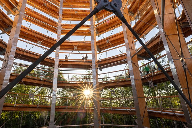 Treetop Observatory and Walk - Why the mountain views earn the ticket price