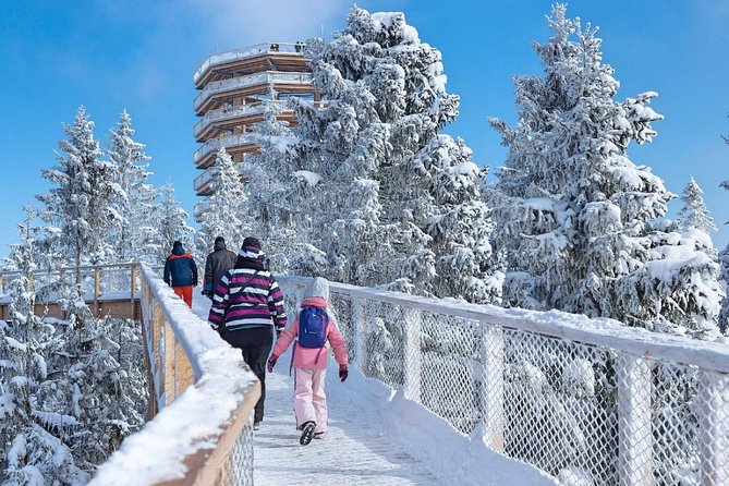 Treetop Walk in Slovakia and Thermal Baths from Krakow - What the $204.27 price really covers