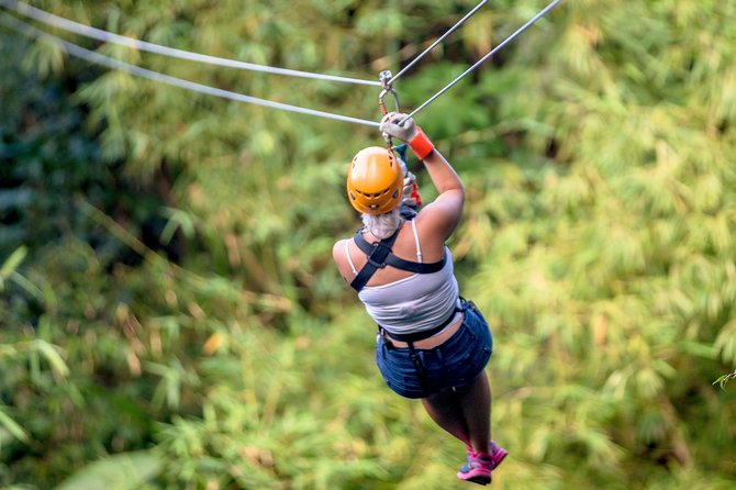 Treetop Zipline Experience From Castries - A rainforest course built around height and speed