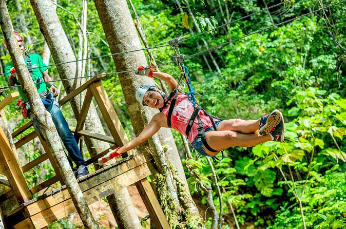 Treetop Zipline Experience From Castries - The net bridge and the forest between platforms