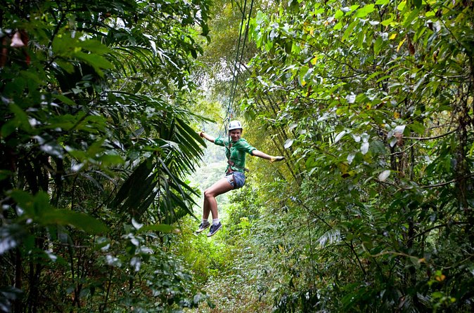 Treetop Zipline Experience From Castries - Is $121.60 a fair price?