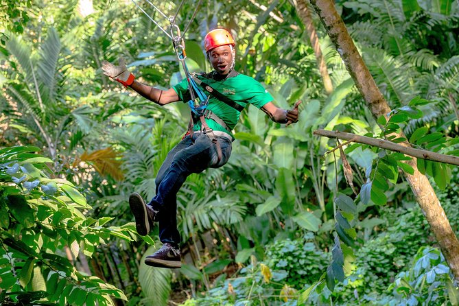 Treetop Zipline Experience From Castries - Who will enjoy this most?
