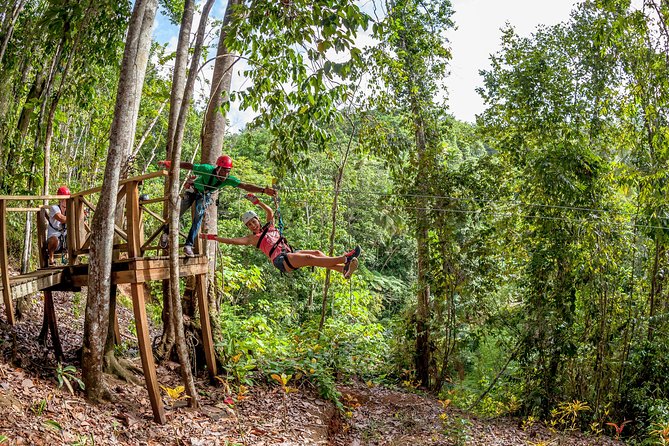 Treetop Zipline Experience From Castries - Your first line and the safety briefing