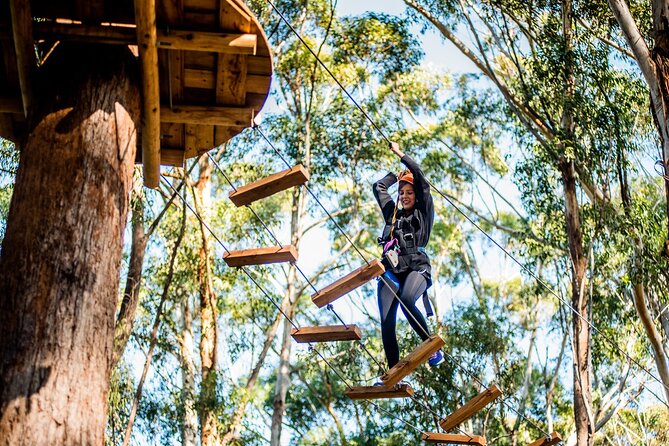 Treetops Adventure Coffs Harbour Tree Ropes Course - Fourteen ziplines above the forest floor