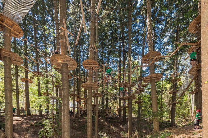 Treetops Adventure The Hills - Tree Ropes Course - Key points at a glance