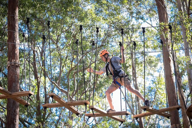 Treetops Adventure The Hills - Tree Ropes Course - What the two-and-a-half-hour visit feels like