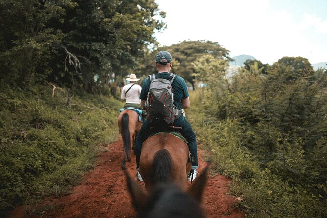 Tulum Jungle Horseback Ride + ATV + Ziplines + Cenote Combo Tour - Lunch, water, and hammock time