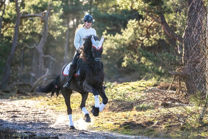 Tulum Jungle Horseback Ride + ATV + Ziplines + Cenote Combo Tour - ATV riding on rough, dusty jungle roads