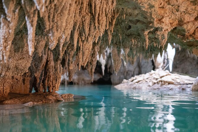 Turtle Snorkeling and Jungle Adventure with Cenote - What the guides add to the day