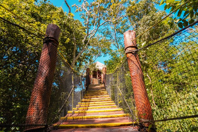 Turtle Snorkeling and Jungle Adventure with Cenote - Fitness, age, and equipment rules