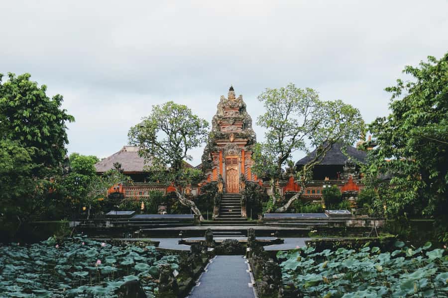 Ubud 3-in-1: Swing, Zipline & SkyBike Adventure - Three high-flying activities at U Fun Field