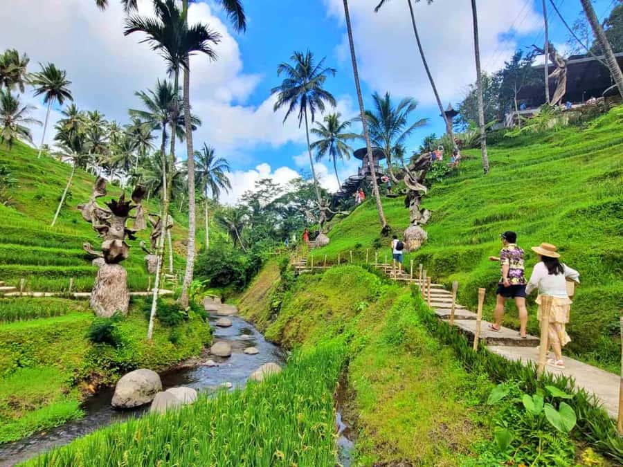 Ubud: ATV Quad Bike, Zip-line and Cretya Alas Harum Tour - Cretya Pool is the calm finish
