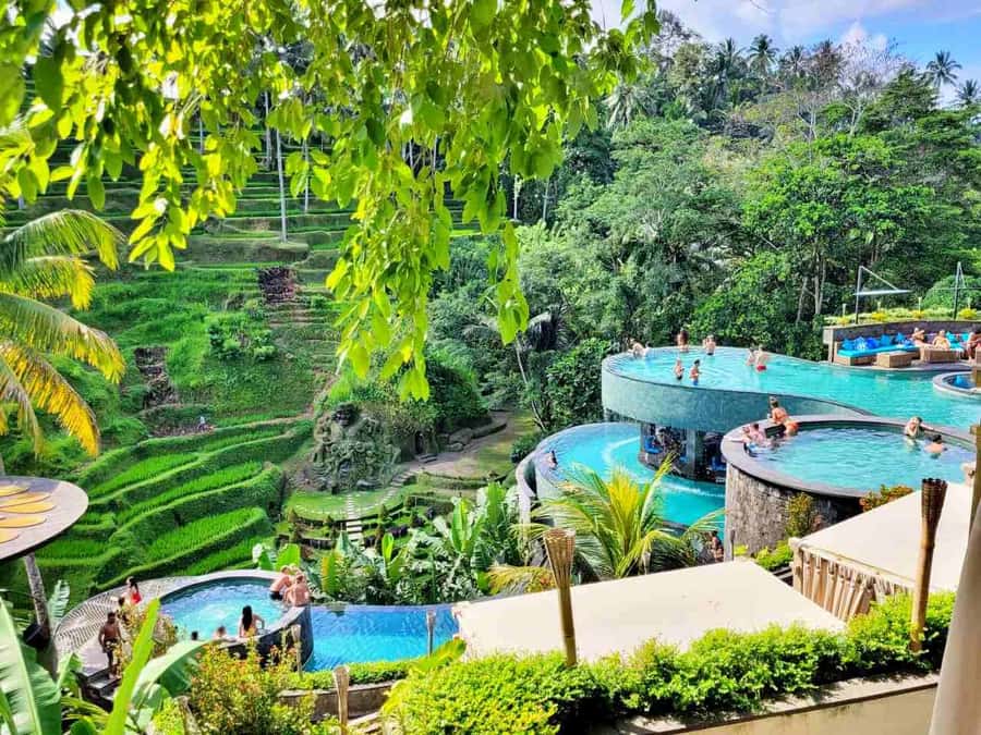 Ubud: Batur Cafe Sunrise, Zip-Line & Cretya Day Club Tour - Is $33 a good value?