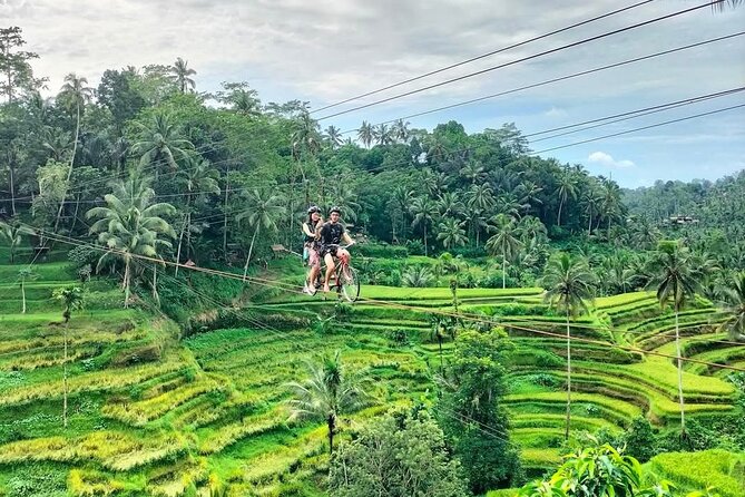Ubud Half Day Skybike and Zipline Rice Terrace Tour - Ulu Petanu Waterfall brings a welcome change of pace