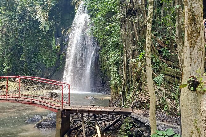 Ubud Half Day Skybike and Zipline Rice Terrace Tour - Tampaksiring coffee and tea with a jungle view