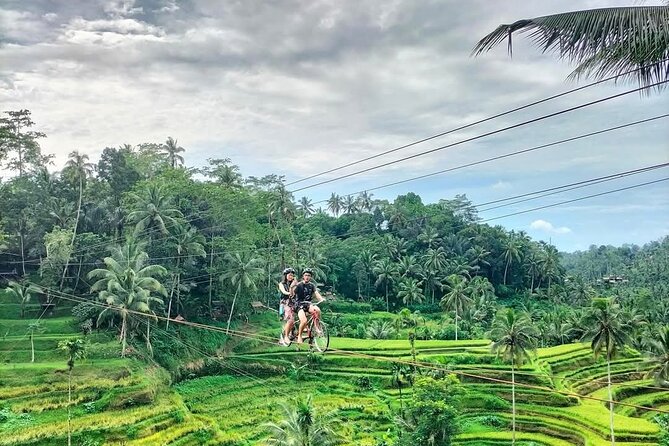 Ubud Half Day Skybike and Zipline Rice Terrace Tour - Weight limits deserve your attention
